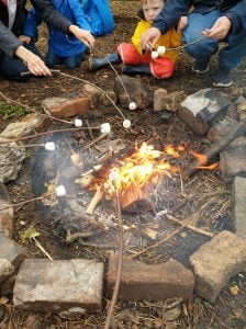 67415195 3420238864668195 1973096108787761152 N