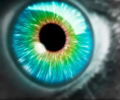 Eye