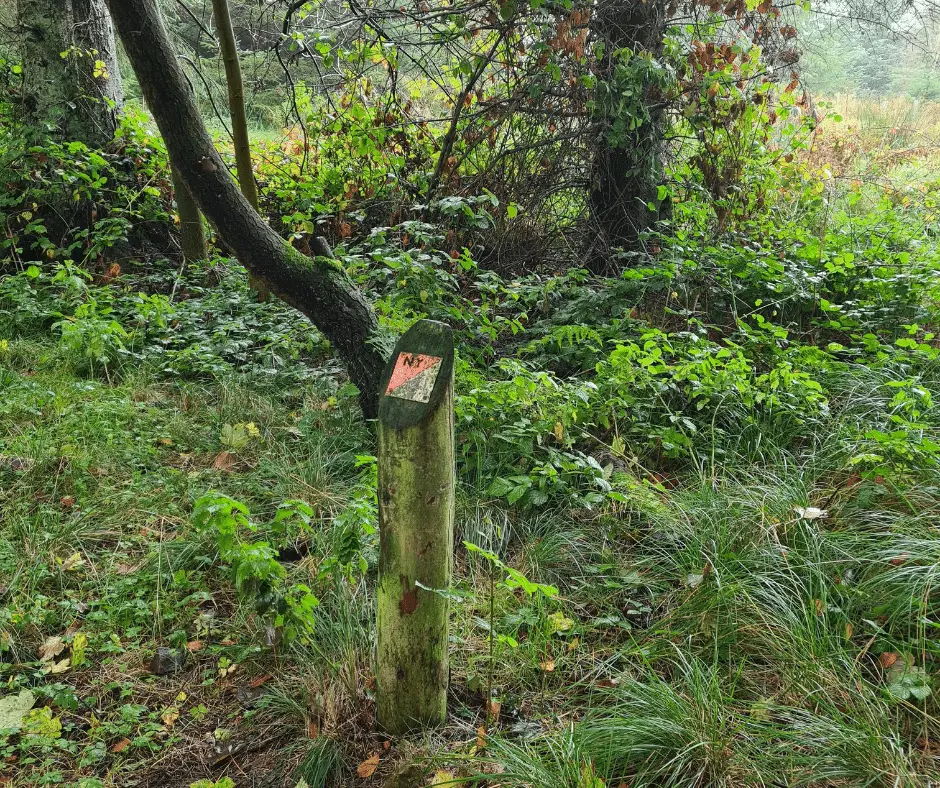 Orienteering Mini