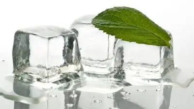 Ice Leaf