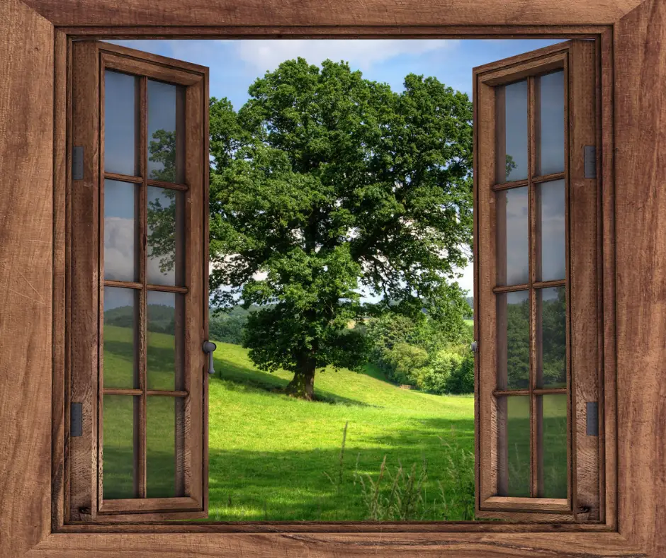 Window