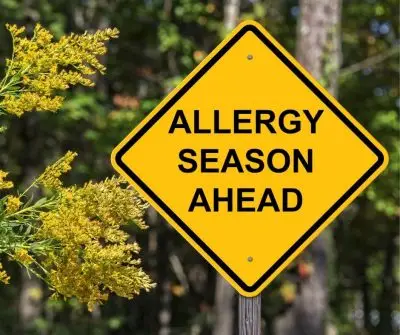 Hayfever