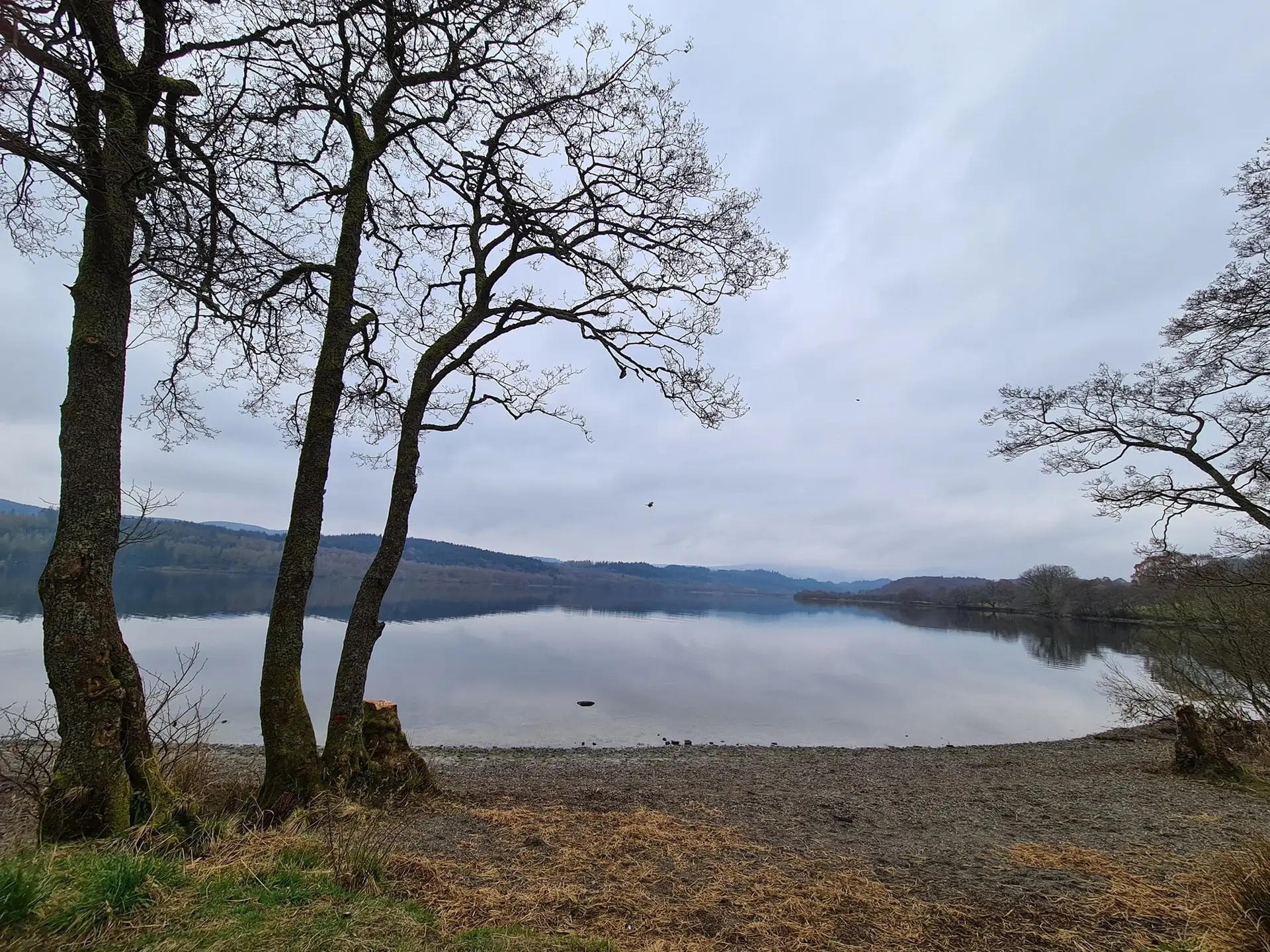 Loch V