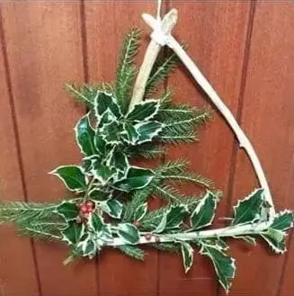 Winter Door
