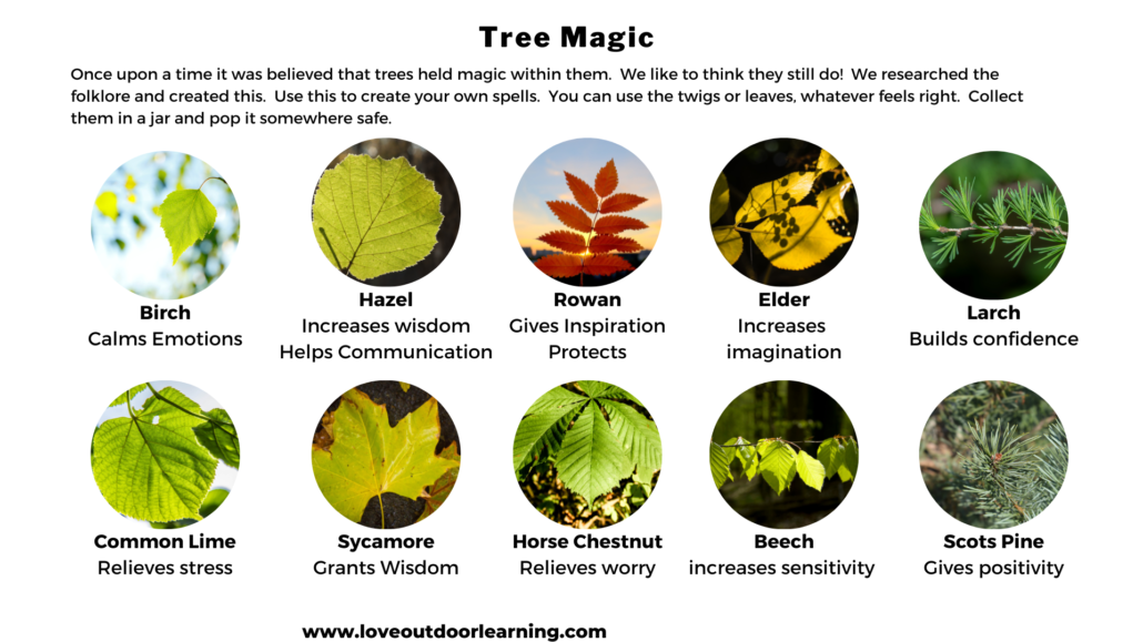 Tree Magic Pic