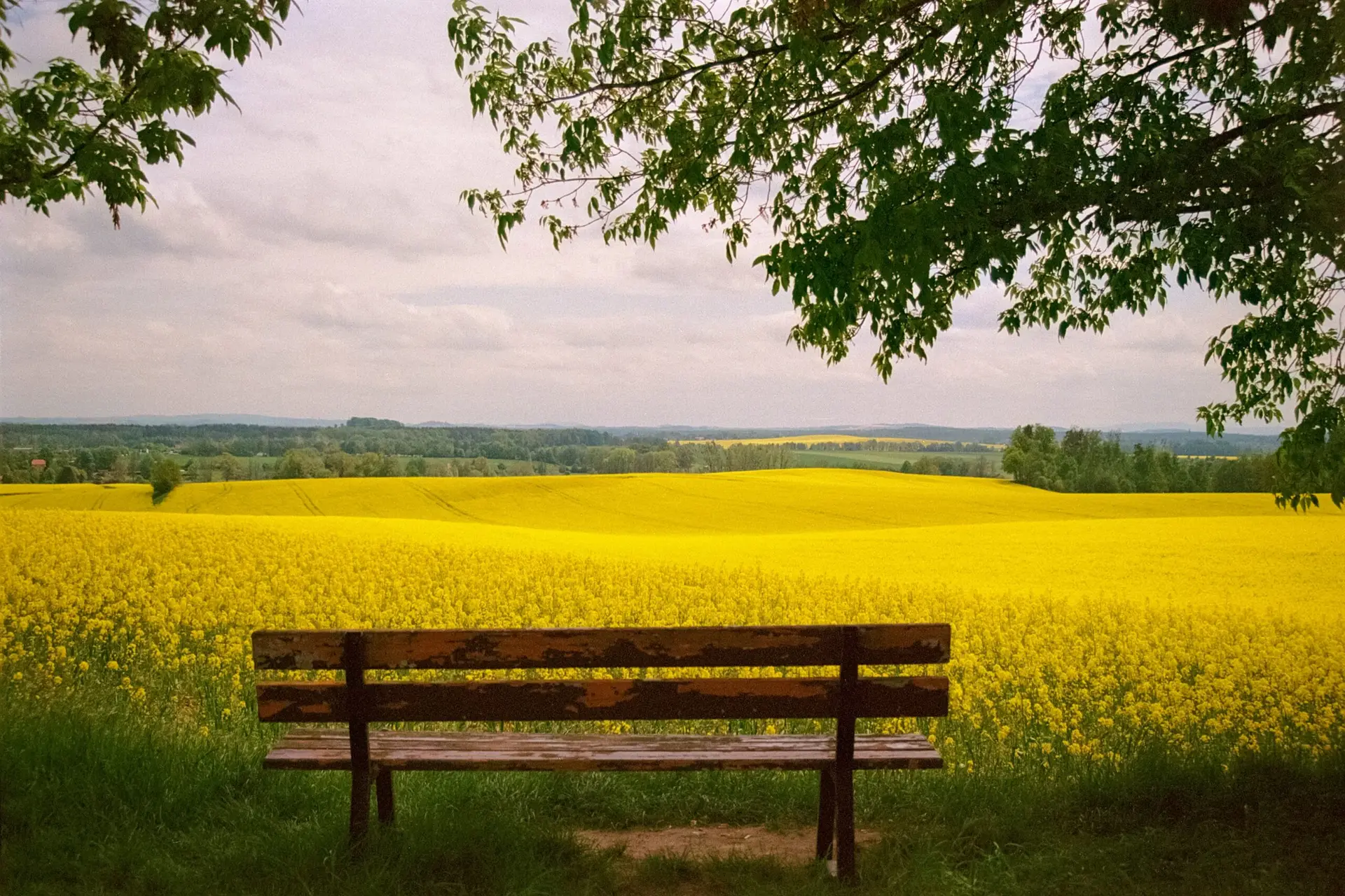 May 2026 Awareness Dates Outdoor Learning