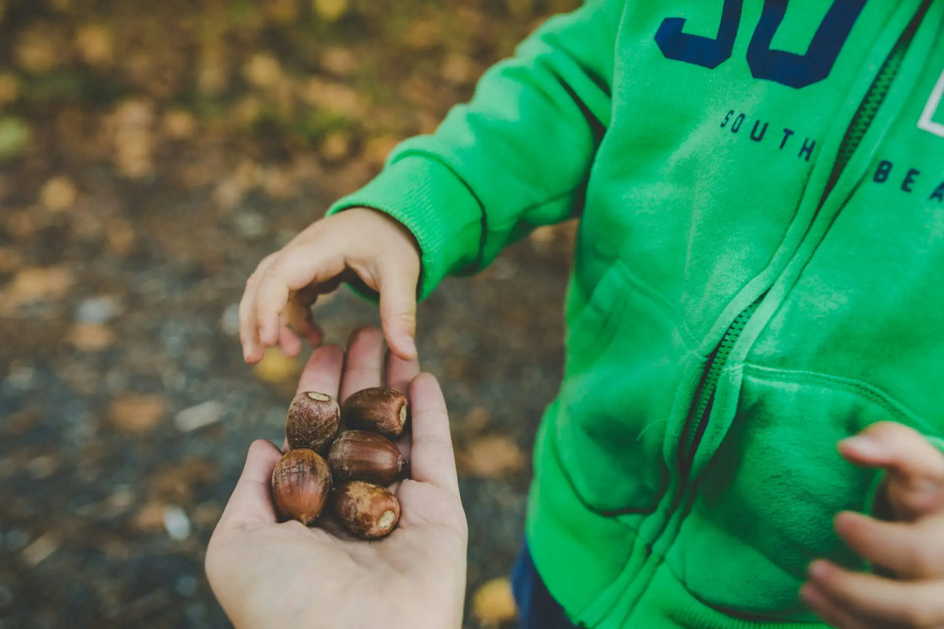 outdoor learning homework they will enjoy