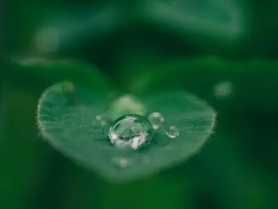Celebrating May Numeracy Day: Building Connection Through Numbers in Nature