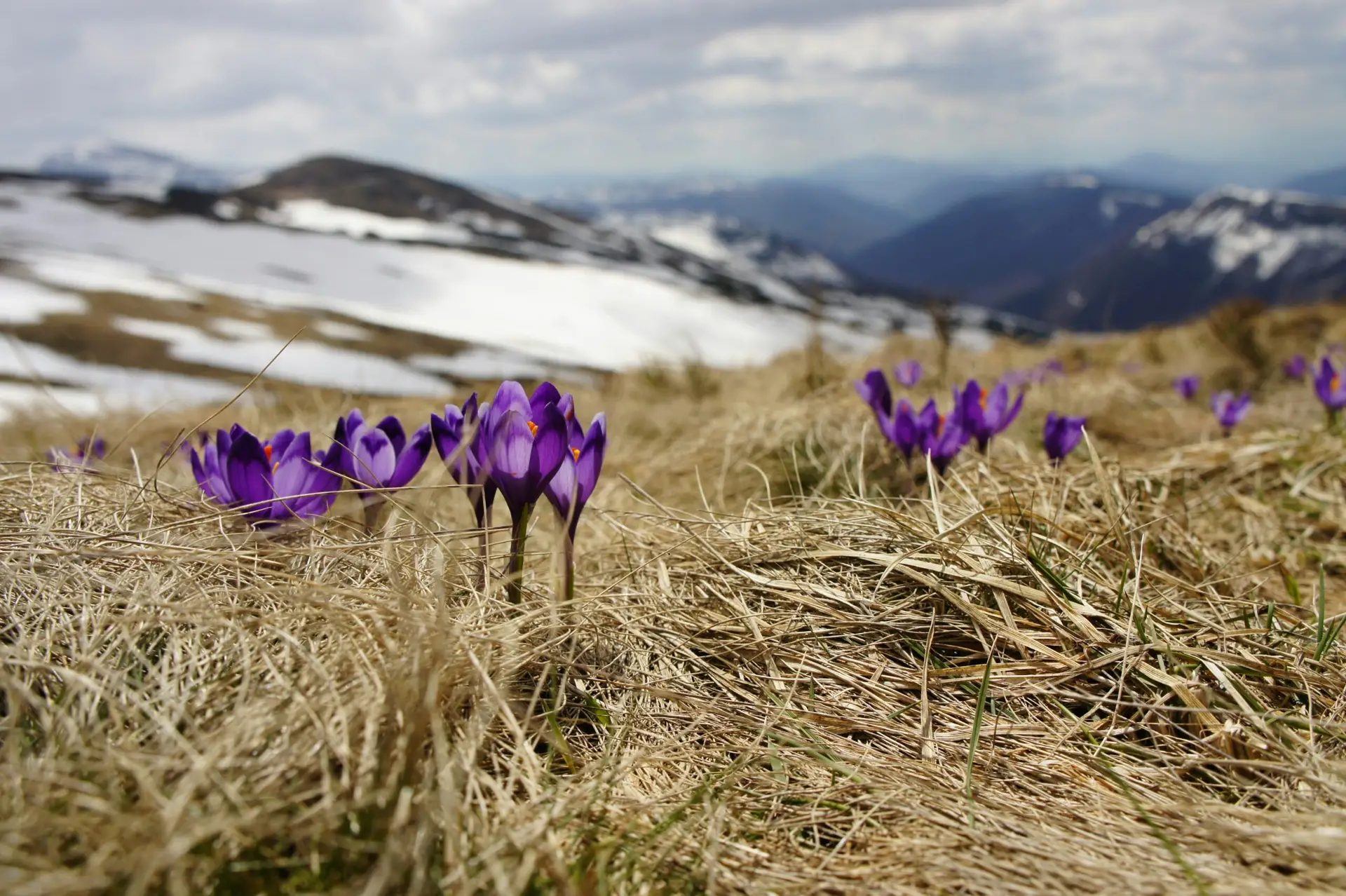 Celebrating the Spring Equinox: Reconnecting with Nature