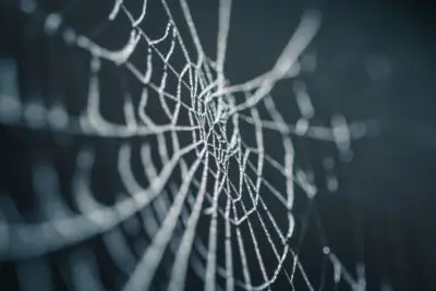 Halloween: Spooky Fun and Connection with Nature