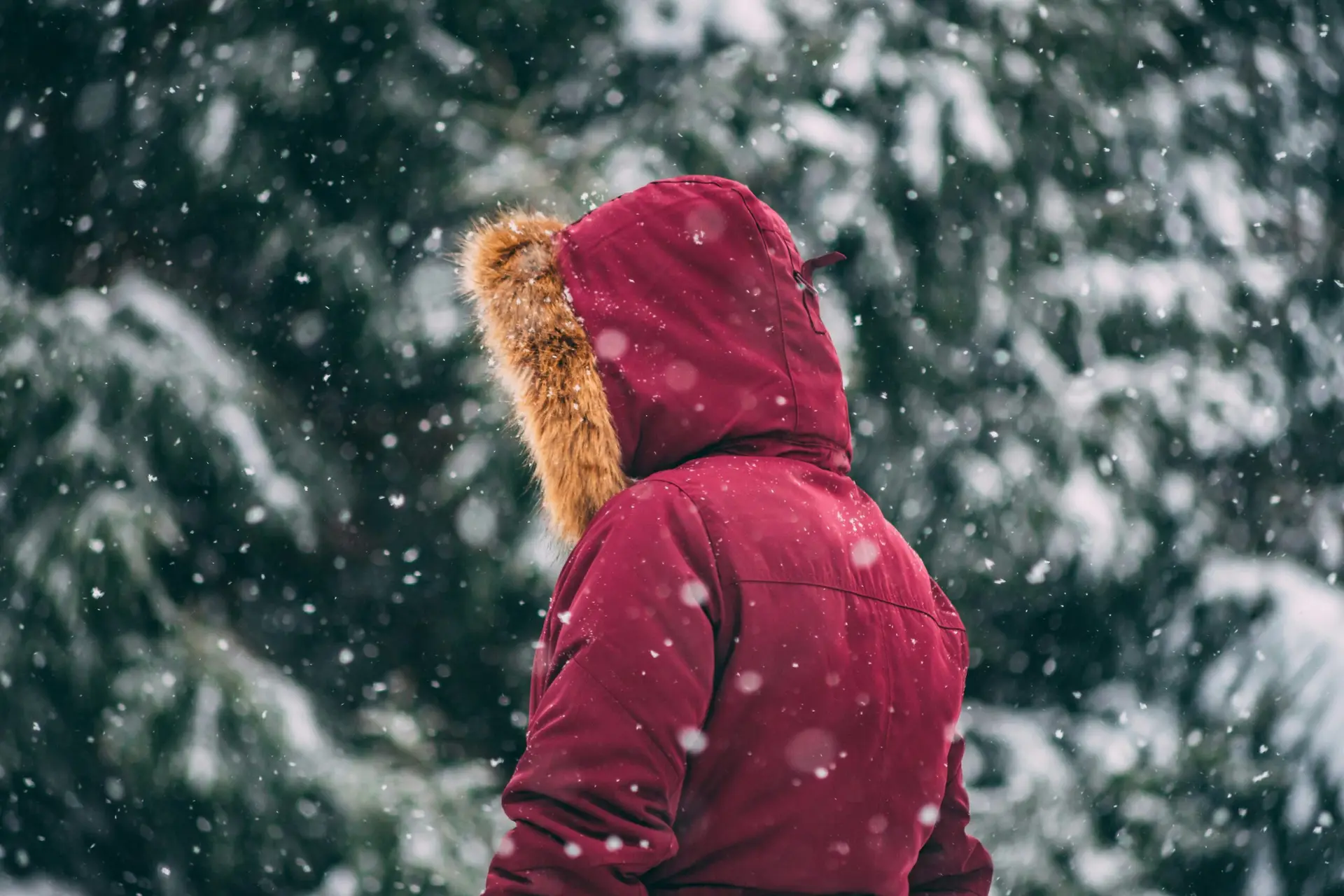 Winter Outdoor Learning: Layer Up and Love It!