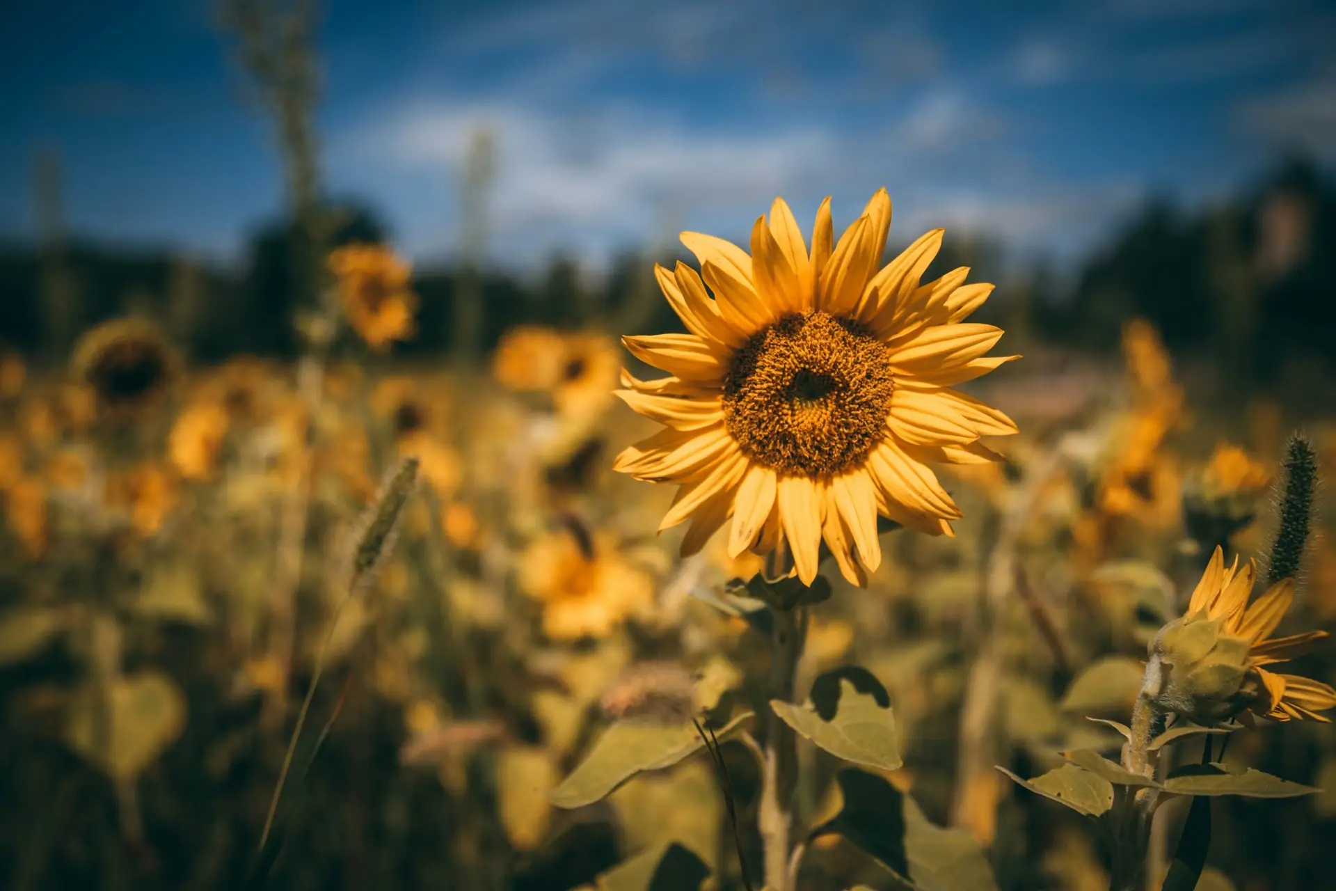 The Unsung Heroes of Outdoor Learning: The Vital Role of School Support Staff