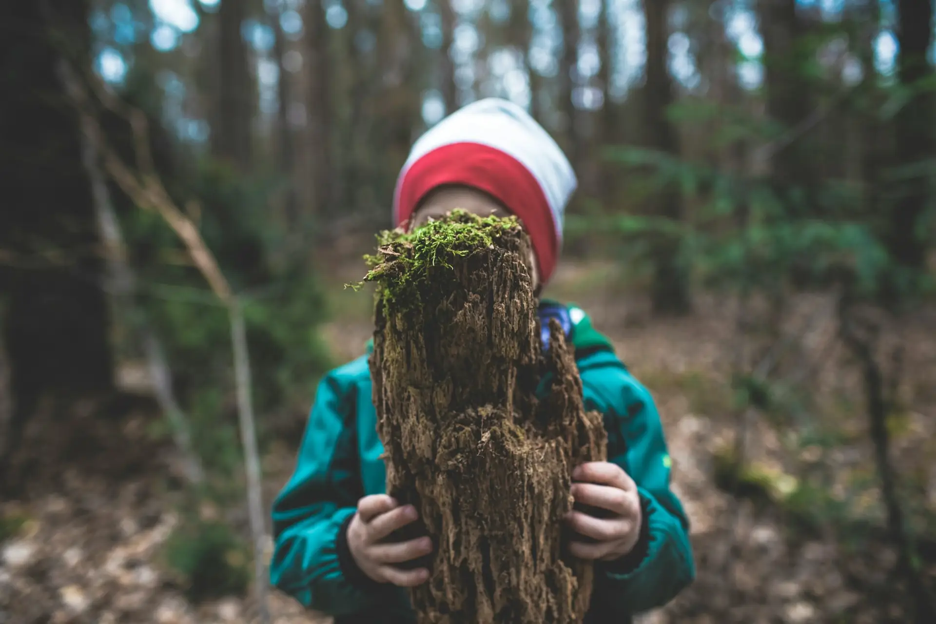 Why Outdoor Learning Should Be a Priority in Schools For Parents