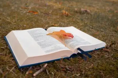 Outdoor learning or learning outdoors