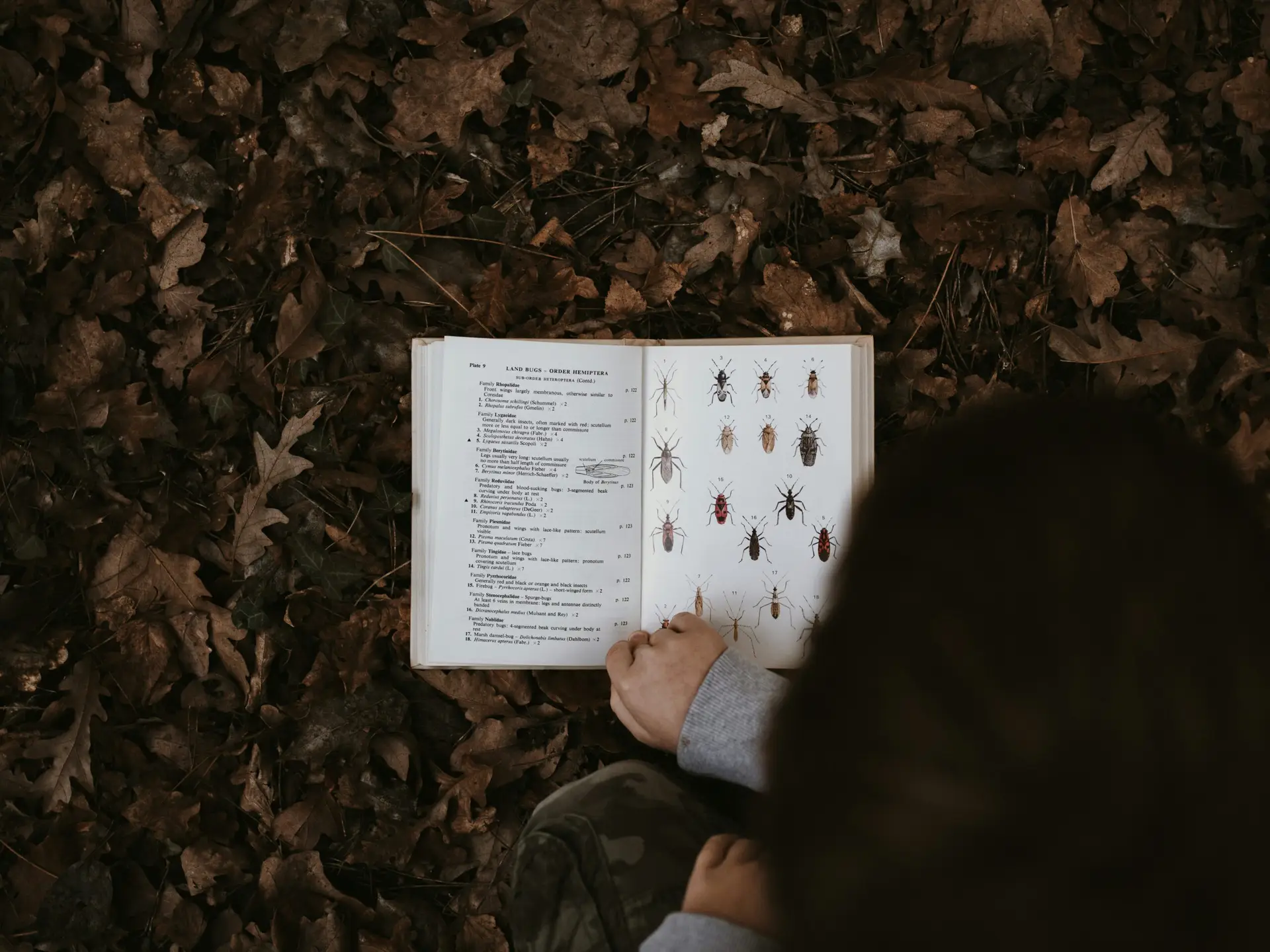 What HMI Reports Reveal About Outdoor Learning in Scotland