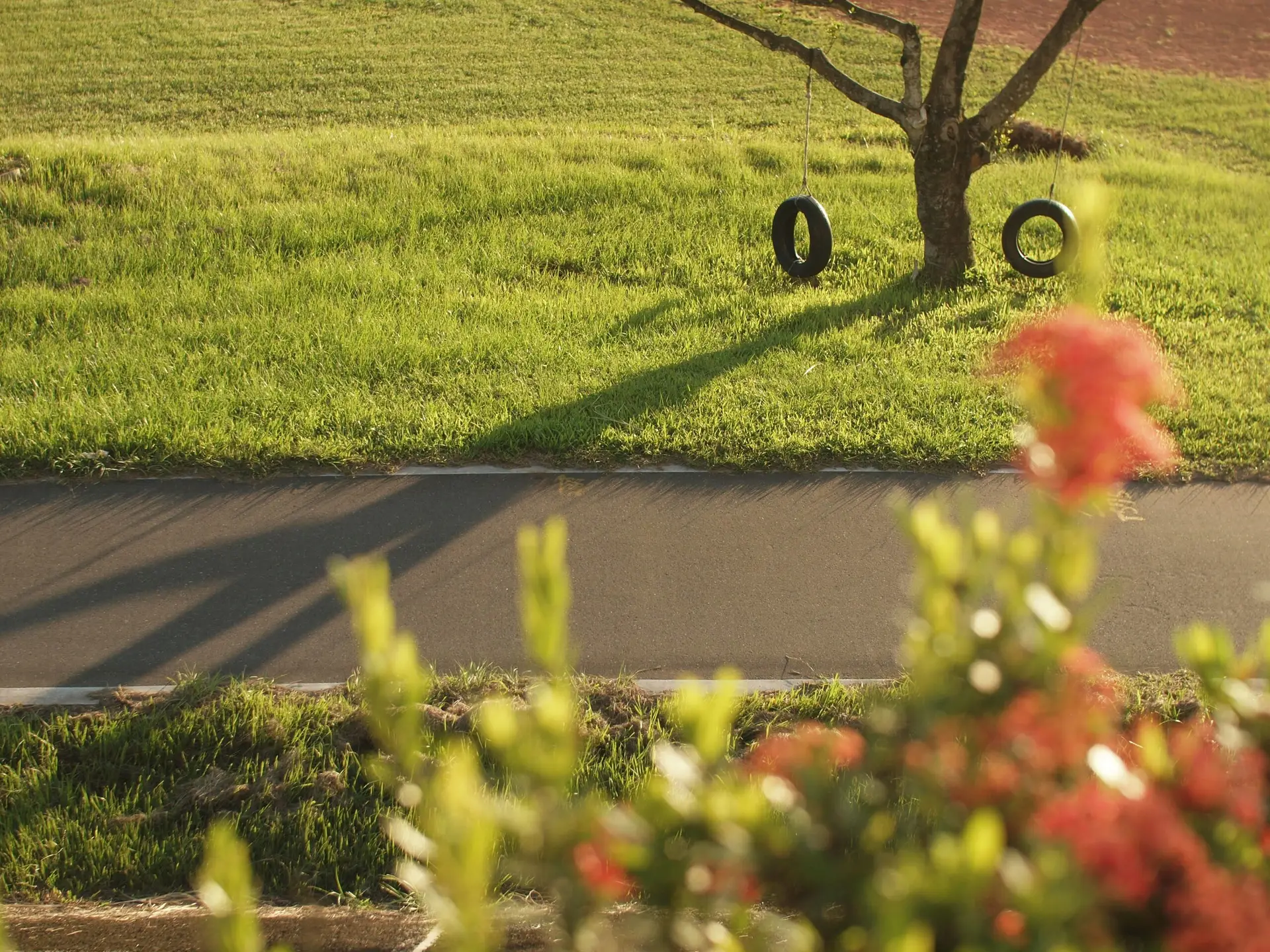The Future of Outdoor Learning: What I’d Like to See