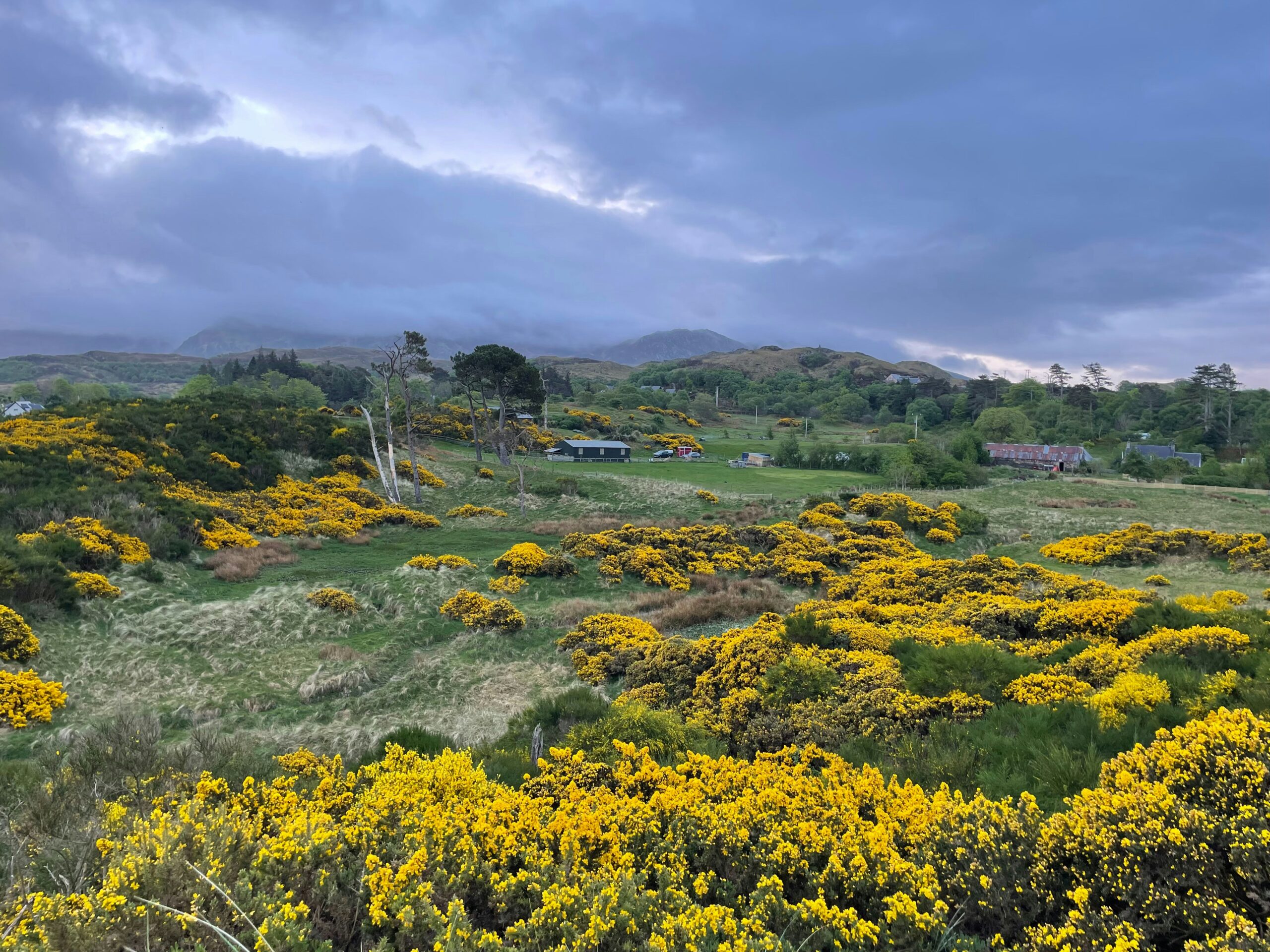 Collective Action for Health and Wellbeing: What New Research Tells Us About Our Relationship with Nature