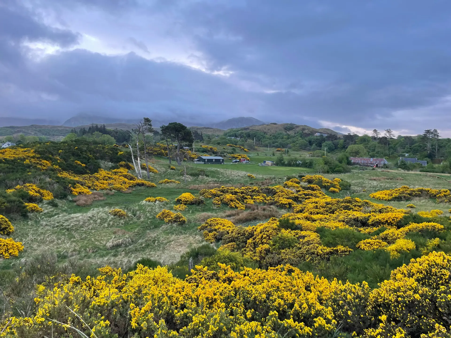 Collective Action for Health and Wellbeing: What New Research Tells Us About Our Relationship with Nature
