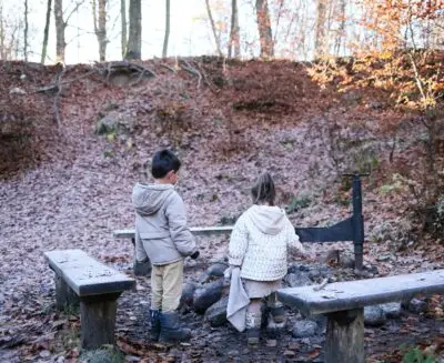 Outdoor Learning, Resilience, and the Mental Health of Young People: The Role of Curriculum-Based Outdoor Learning