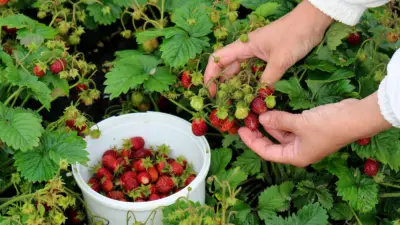 Community Involvement in Outdoor Learning: Common Pitfalls (and How to Avoid Them)