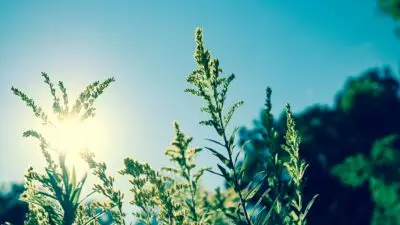 Outdoor Learning in Hot Weather – Making the Most of Sunny Days Safely