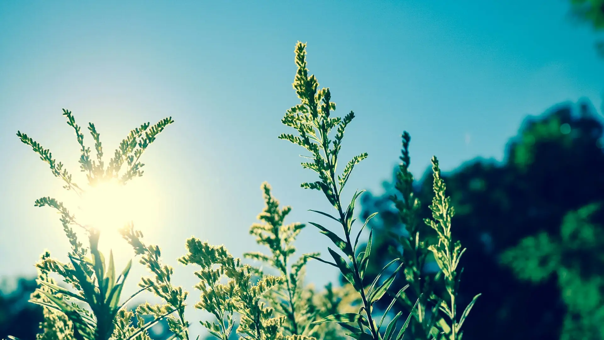 Outdoor Learning in Hot Weather – Making the Most of Sunny Days Safely