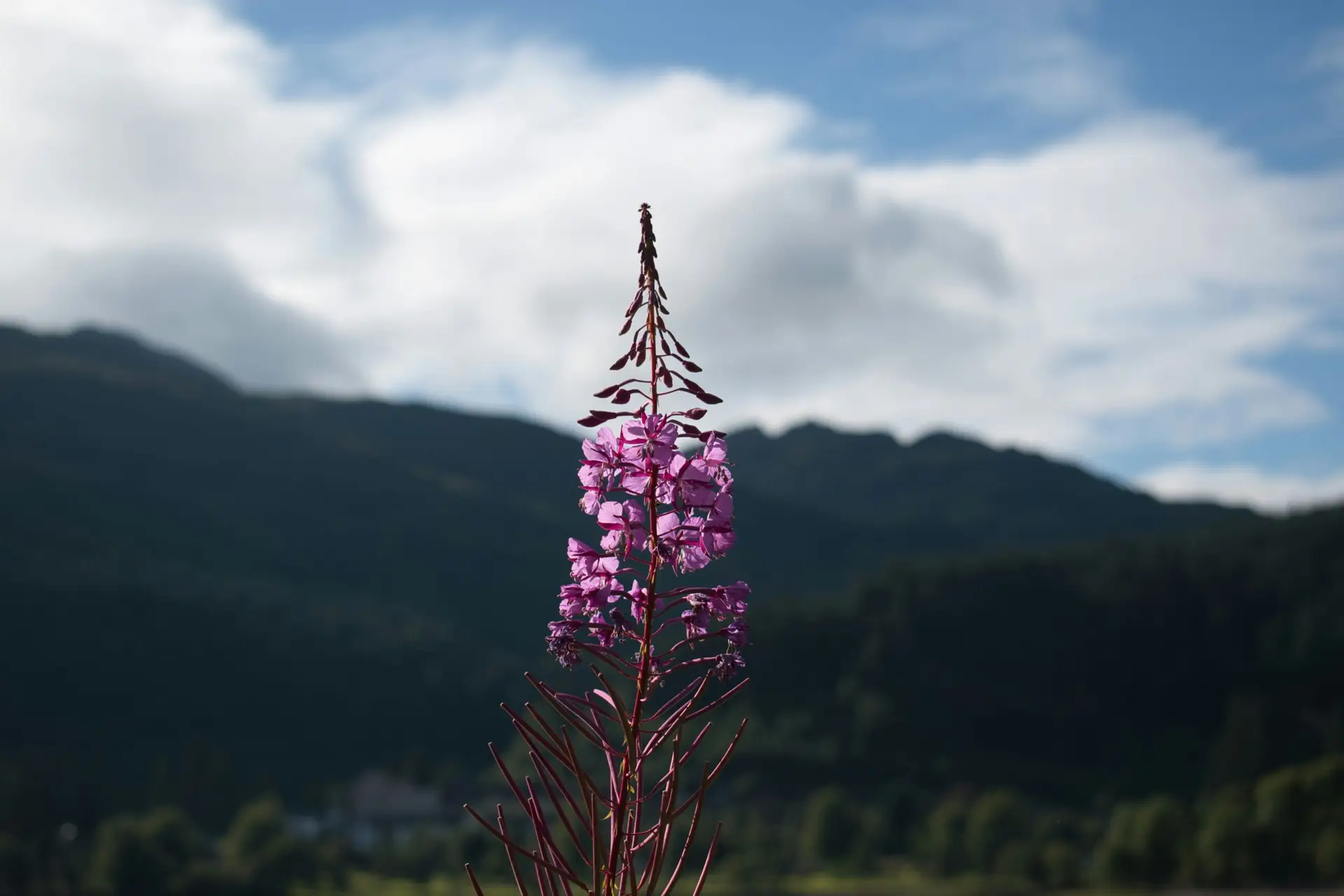 Community Involvement in Outdoor Learning: Safeguarding, Boundaries and Governance