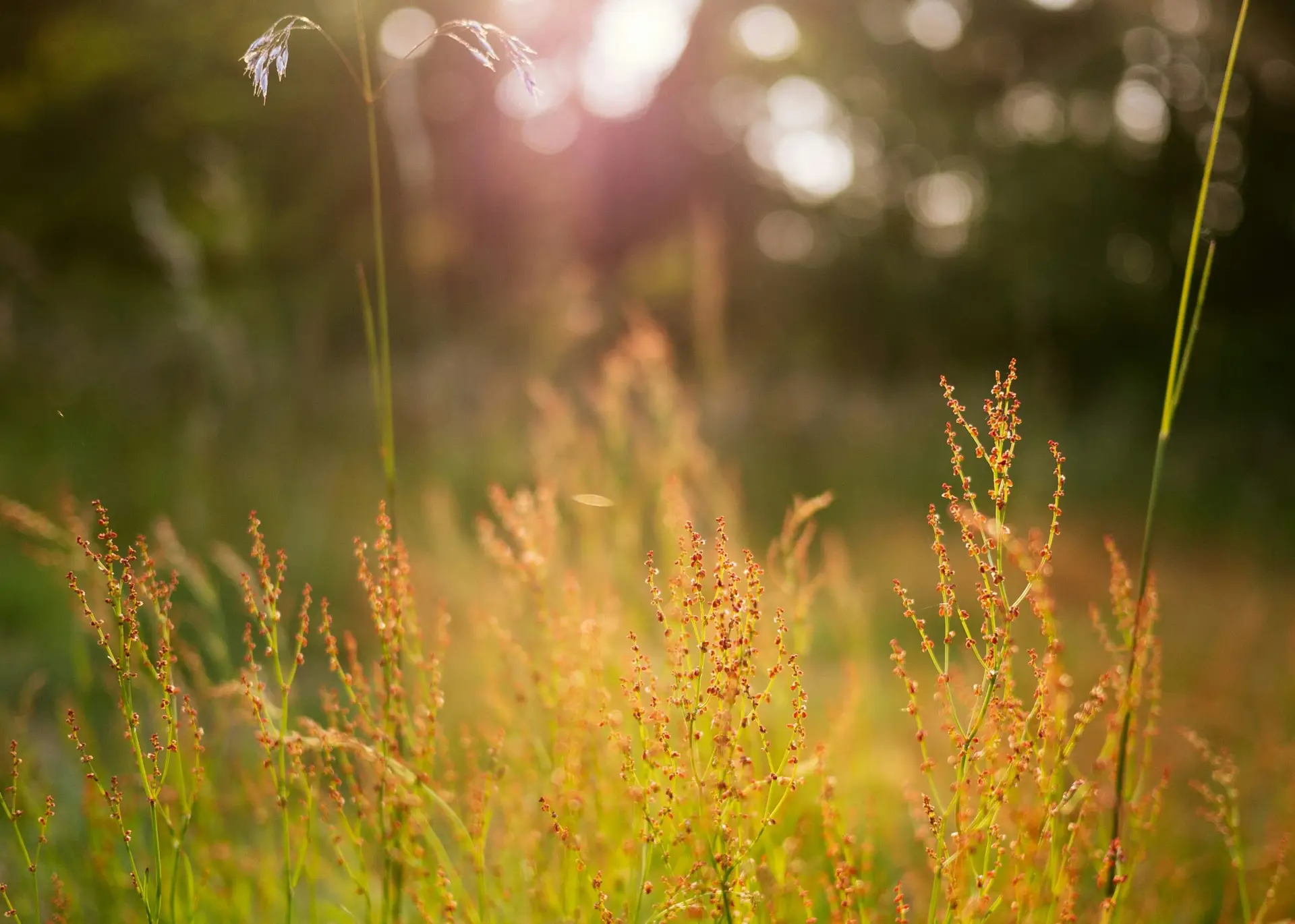 Community Involvement in Outdoor Learning: Equity, Access and Who Gets Left Out