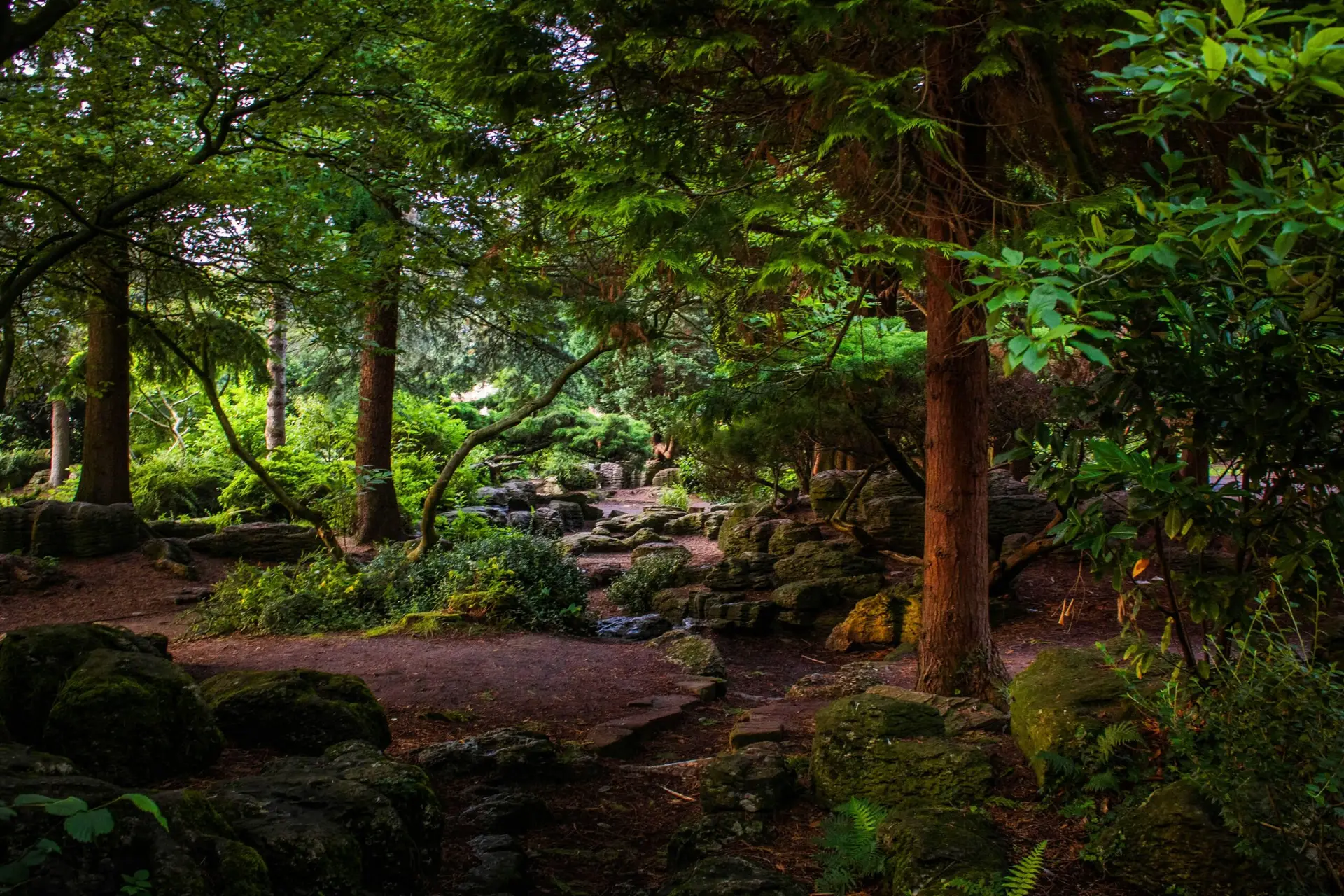 woodland what forest off and what they don't