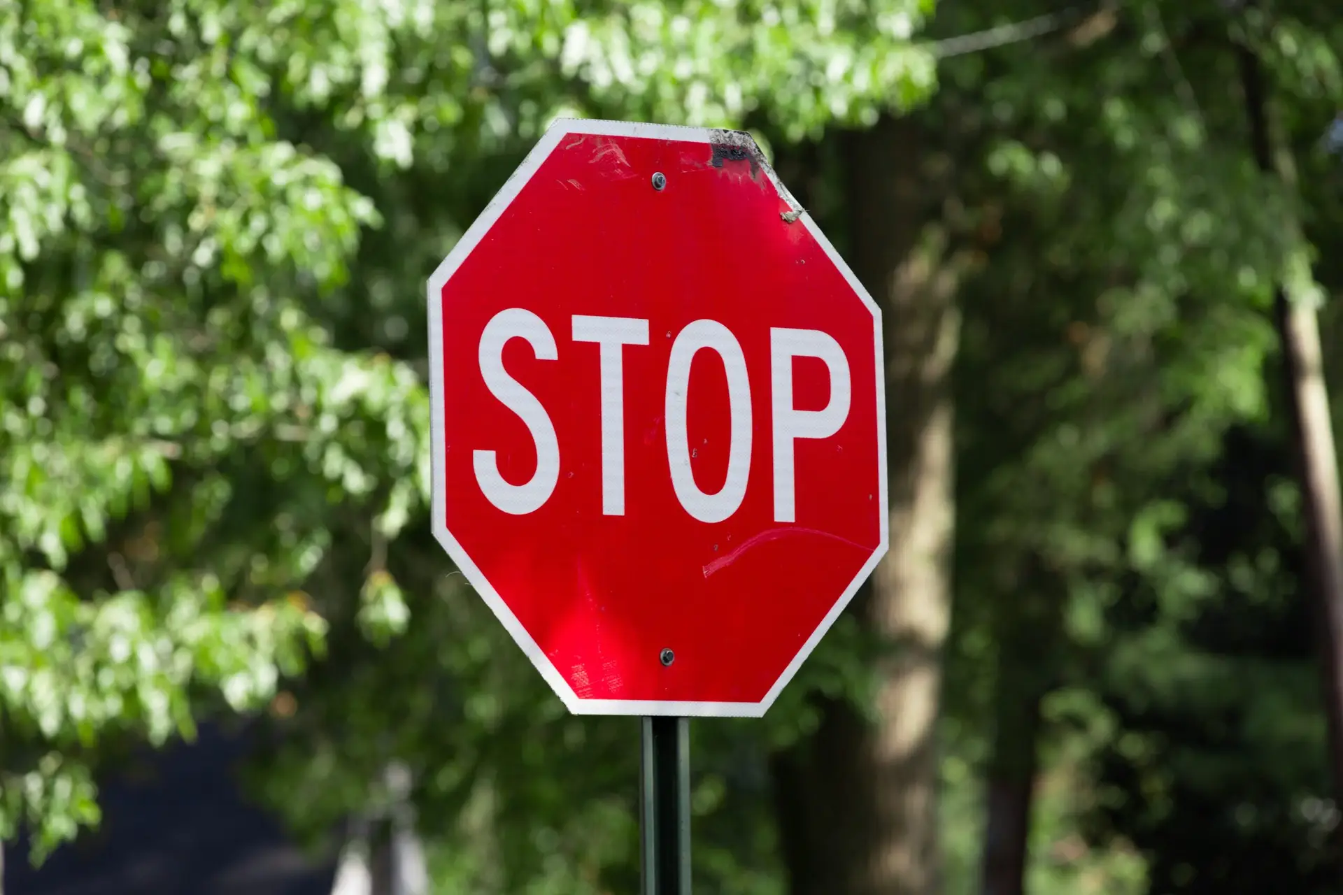 Community Involvement in Outdoor Learning: Knowing When to Stop